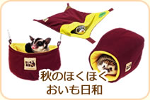 秋のほくほくおいも日和