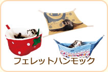 フェレットハンモック