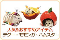 人気&おすすめアイテム テグー・モモンガ・ハムスター