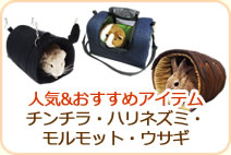 人気&おすすめアイテム チンチラ・ハリネズミ・モルモット・ウサギ