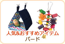 人気&おすすめアイテム バード