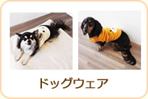 ドッグウェア