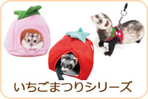 いちごまつりシリーズ